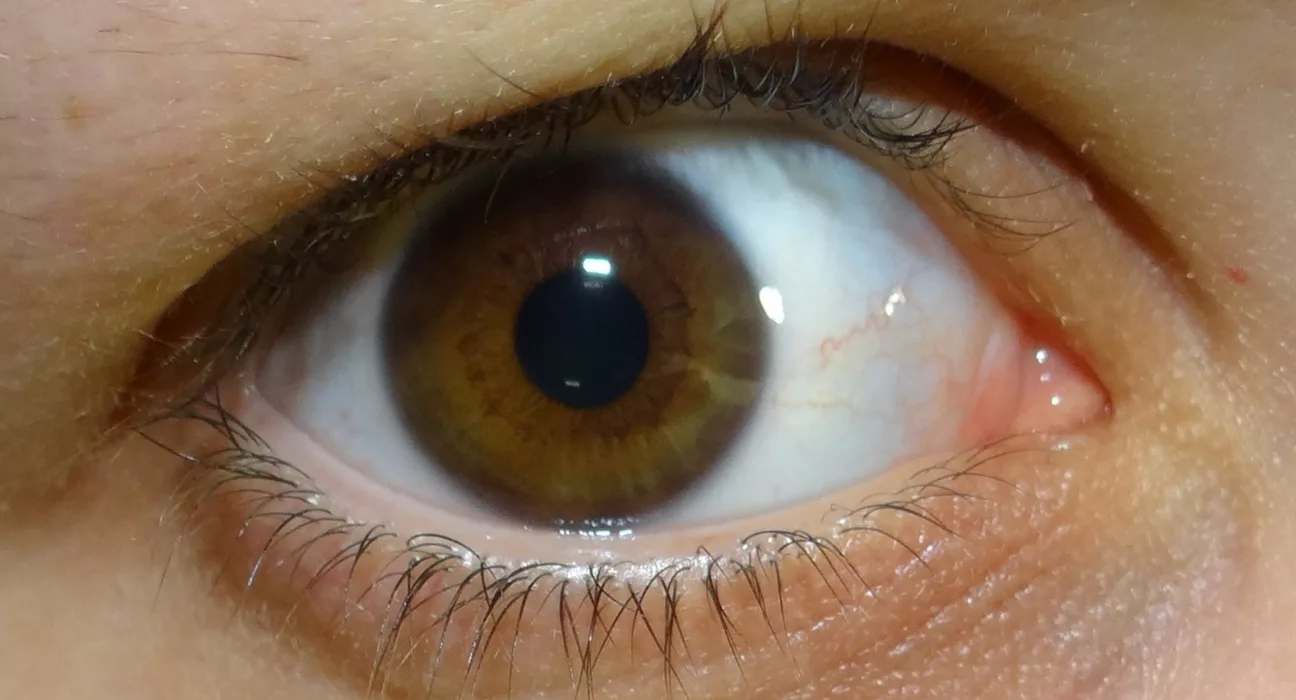 Como delinear os olhos para iniciantes?